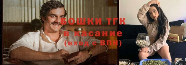 меф Новодвинск