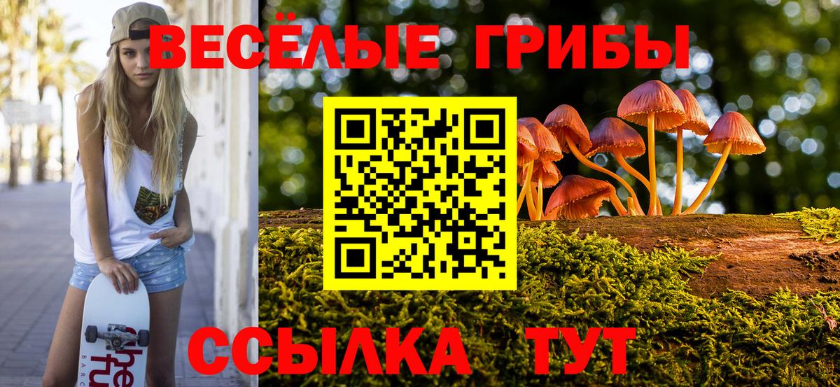 Ярцево  Галлюциногенные грибы Cubensis  Вход с VPN 