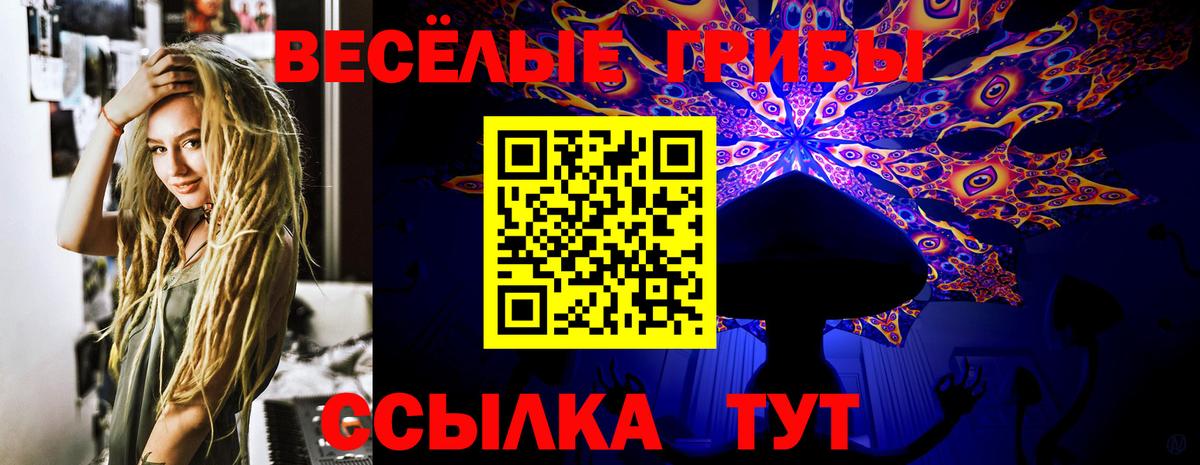 Псилоцибиновые грибы Psilocybine cubensis Ярцево